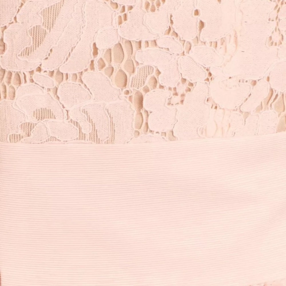 Eliza J Lace Faille Cap Sleeve Dress Lace Pink Blush Petite 12P 14P NWT Wedding - Picture 5 of 9